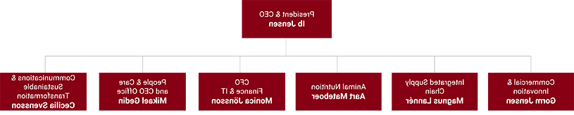 用红色表示的Perstorp ELT组织结构图 