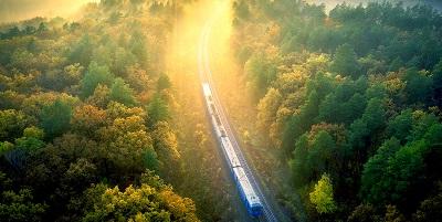 火车穿过阳光普照的森林
